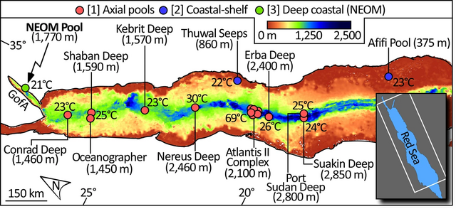 43247_2022_482_Fig1_HTML.webp_Sam J. Purkis.png