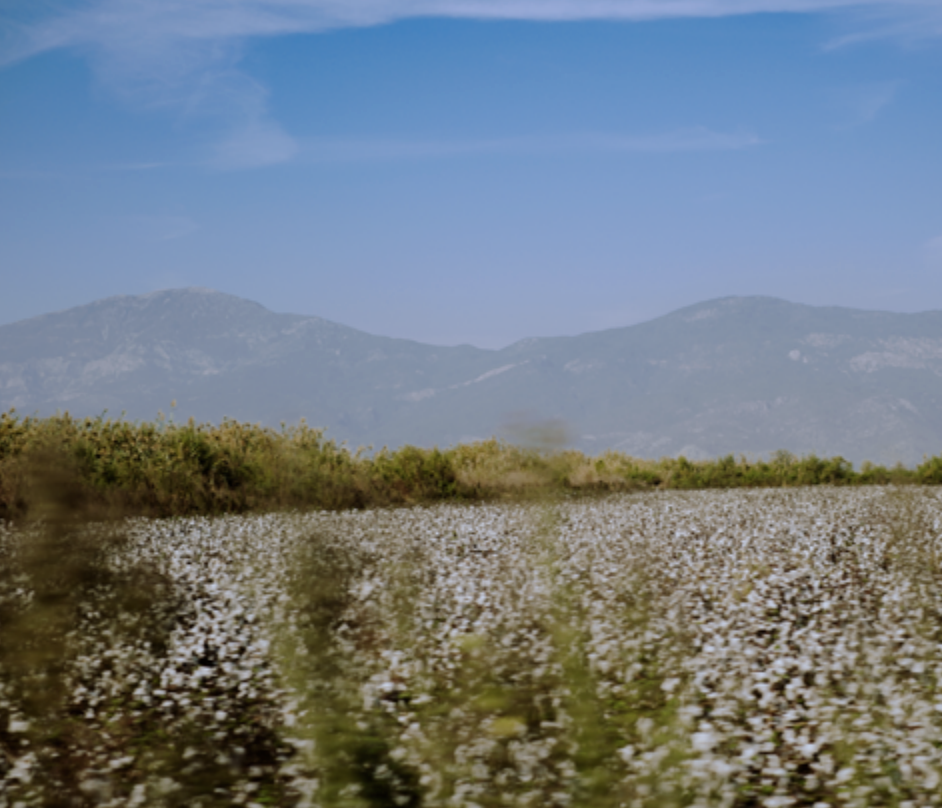 Screenshot 2026-03-02 at 7.53.32 PM.png