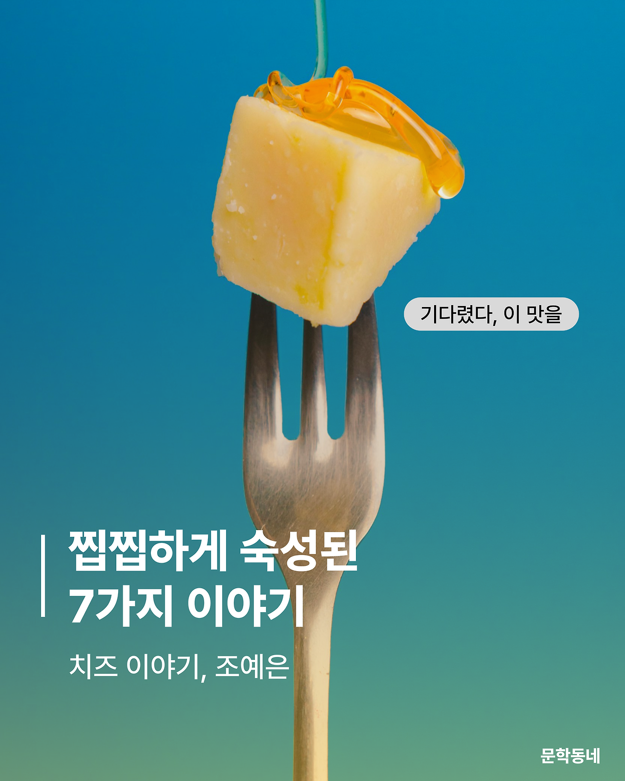 KakaoTalk_20260224_003041225.png