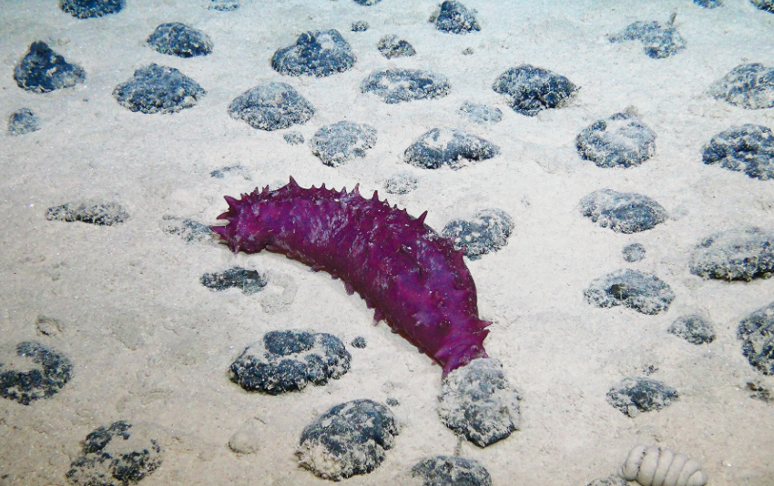 화면 캡처 2026-02-03 164733.png