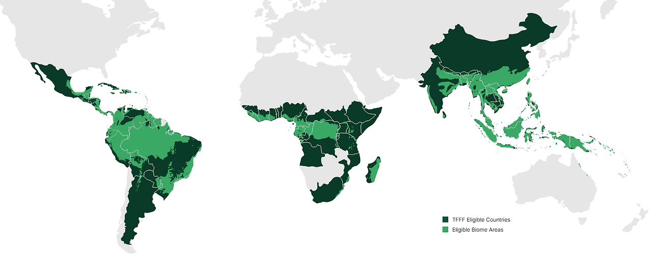 화면 캡처 2025-11-27 234324.png