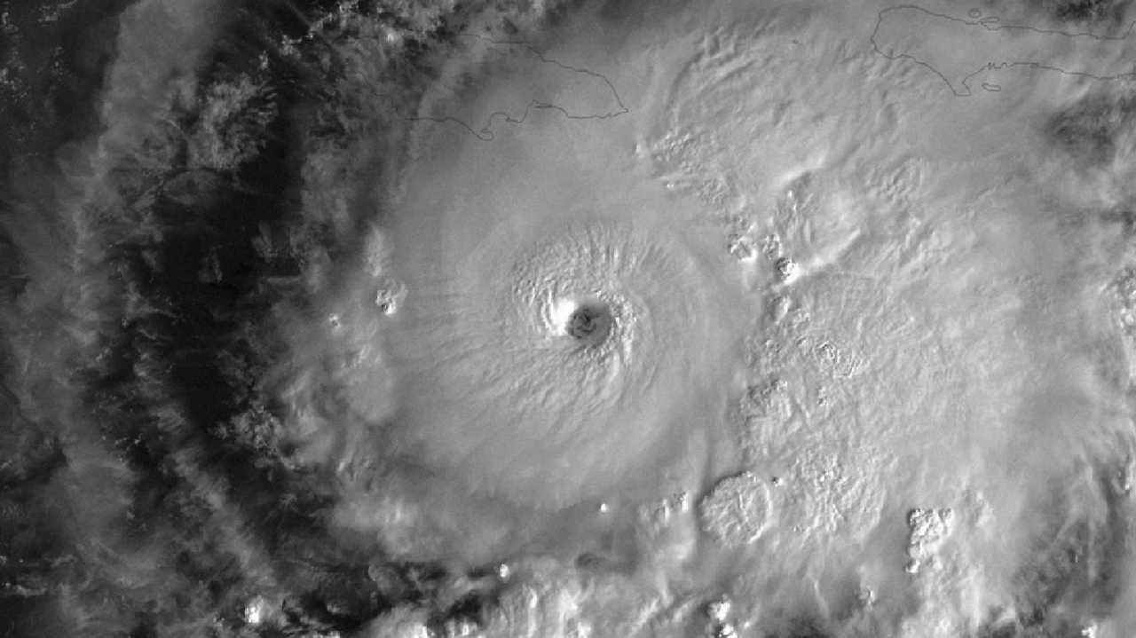 화면 캡처 2026-02-02 221415.png