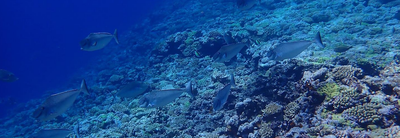 화면 캡처 2025-12-23 234851.png