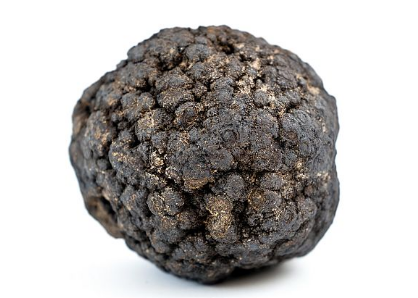 화면 캡처 2026-02-03 165046.png