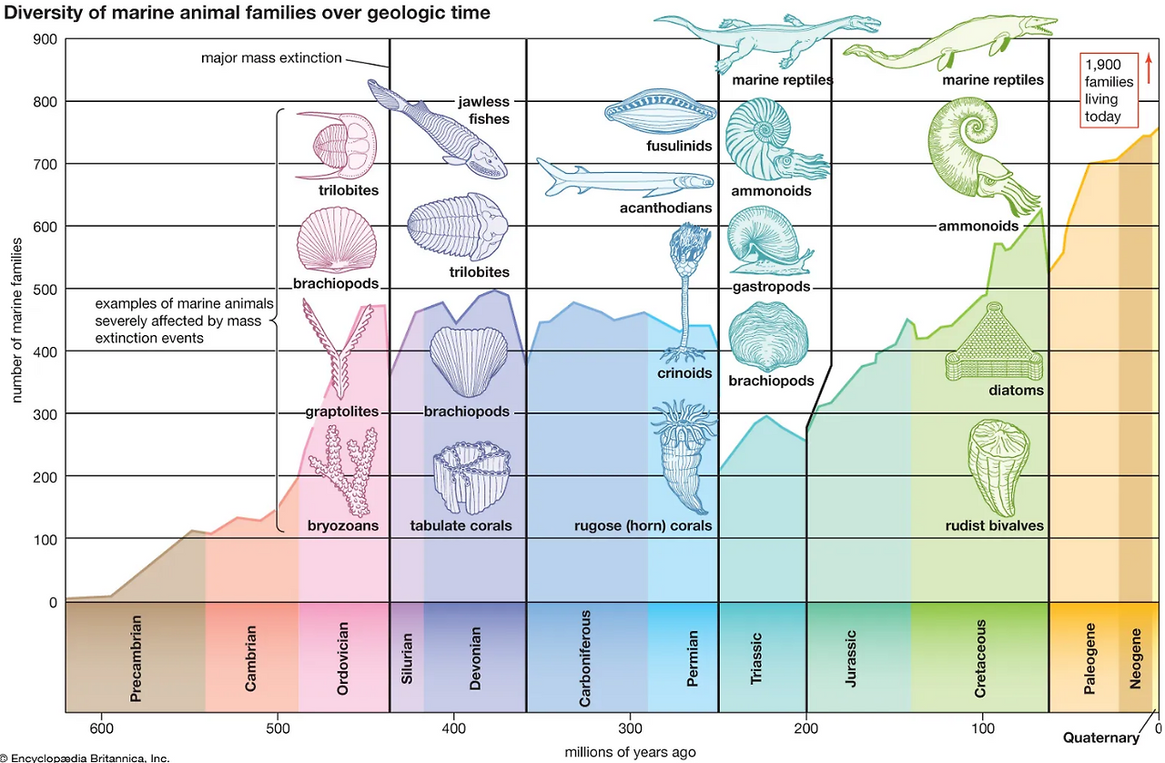 화면 캡처 2025-11-23 02.png