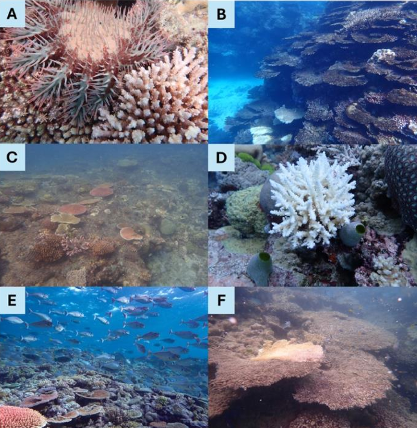 화면 캡처 2025-12-23 235113.png