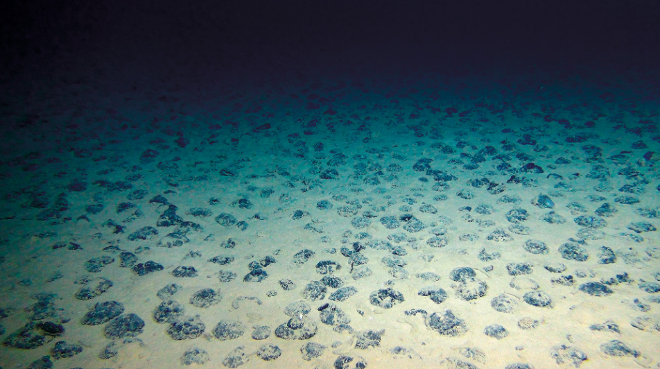 화면 캡처 2026-02-03 164610.png