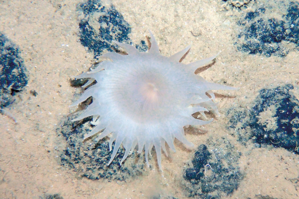 화면 캡처 2026-02-03 164802.png