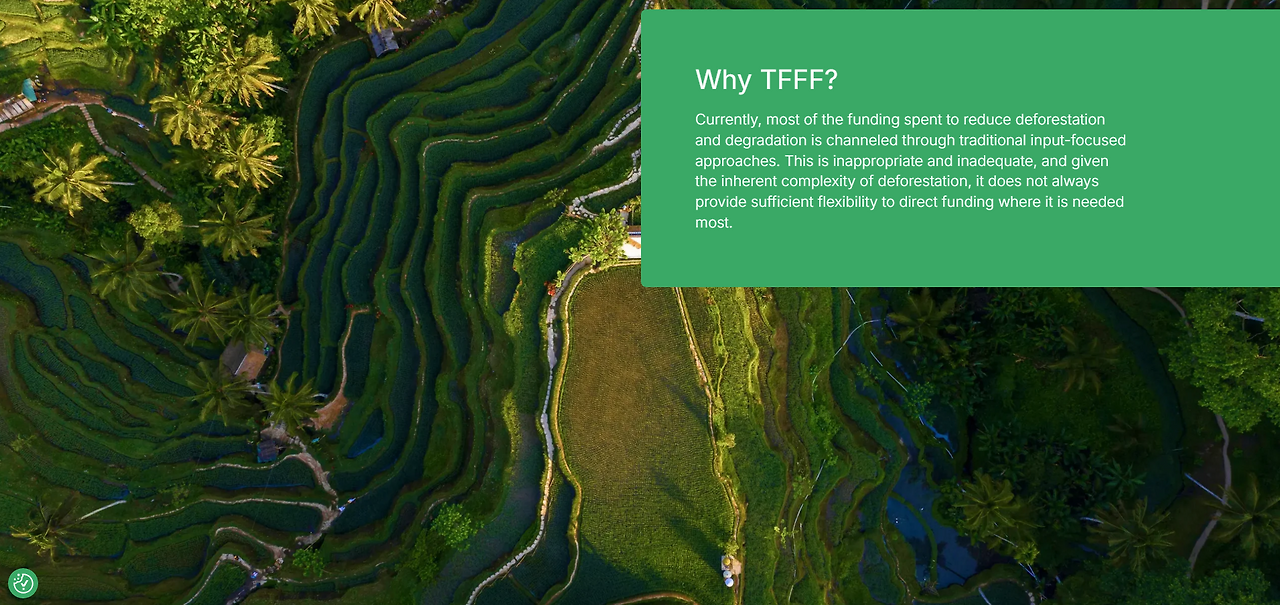 화면 캡처 2025-11-27 234212.png