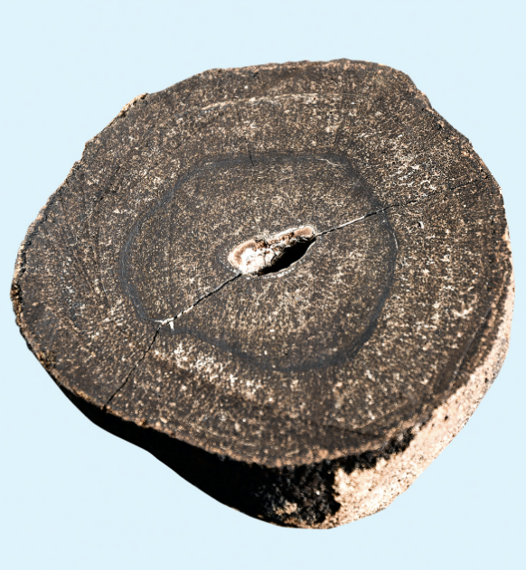 화면 캡처 2026-02-03 164713.png