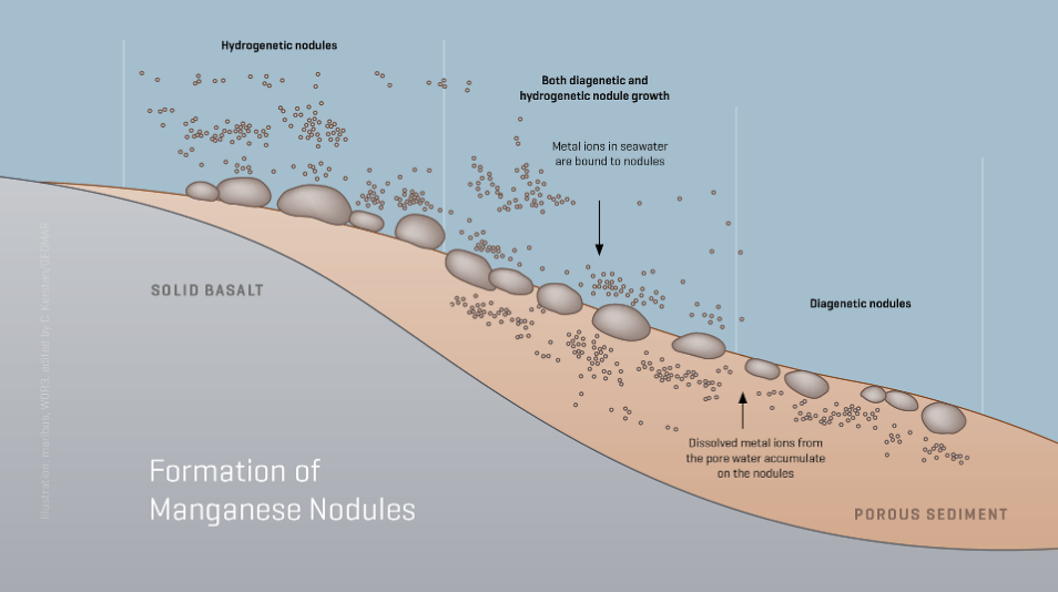 화면 캡처 2026-02-03 164651.png