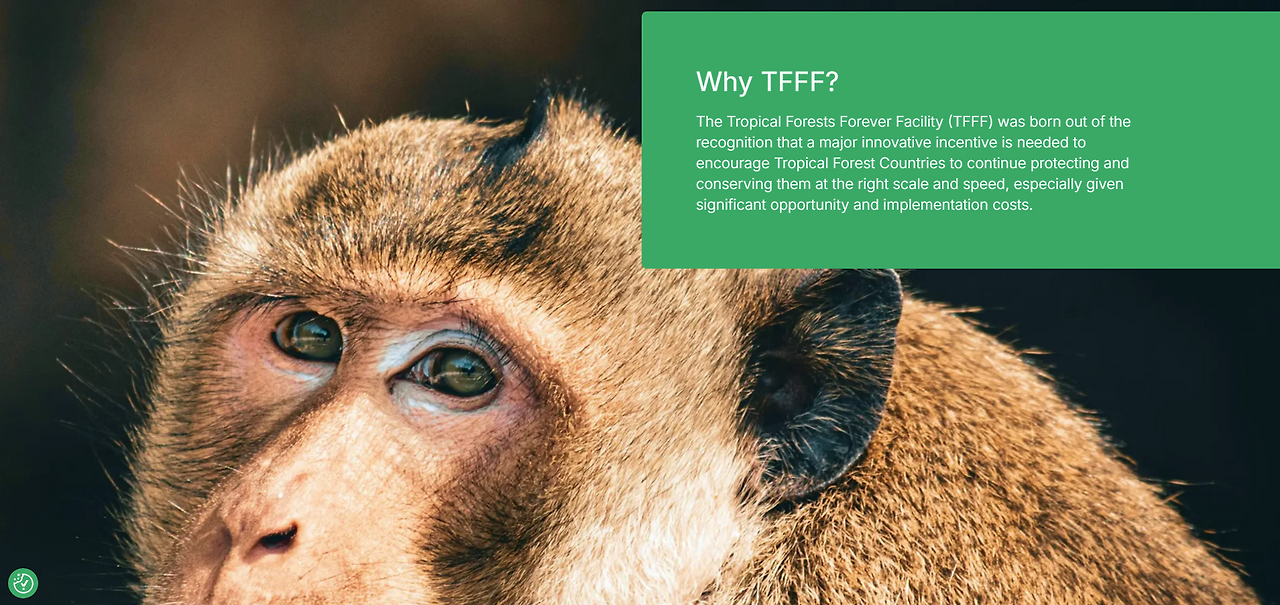 화면 캡처 2025-11-27 234154.png