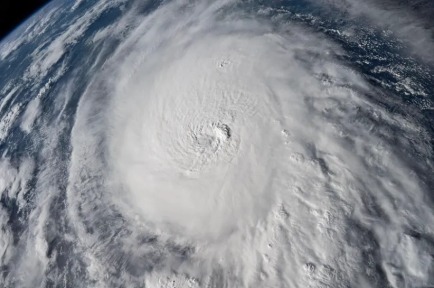 화면 캡처 2026-02-05 013322.png