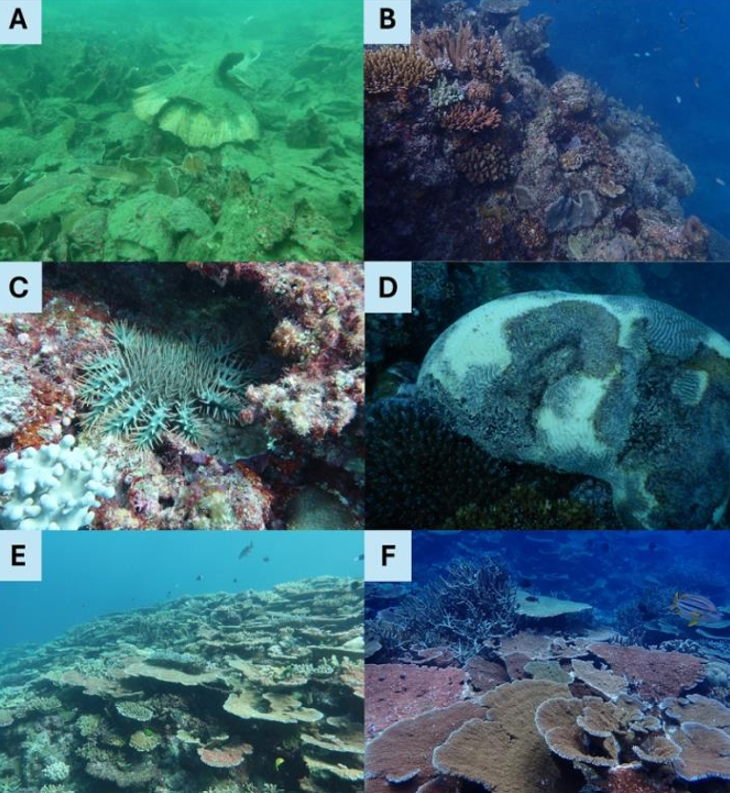 화면 캡처 2025-12-23 235253.png