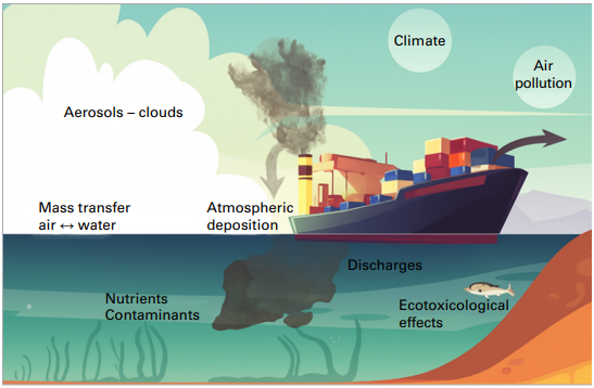 화면 캡처 2026-02-04 220650.png