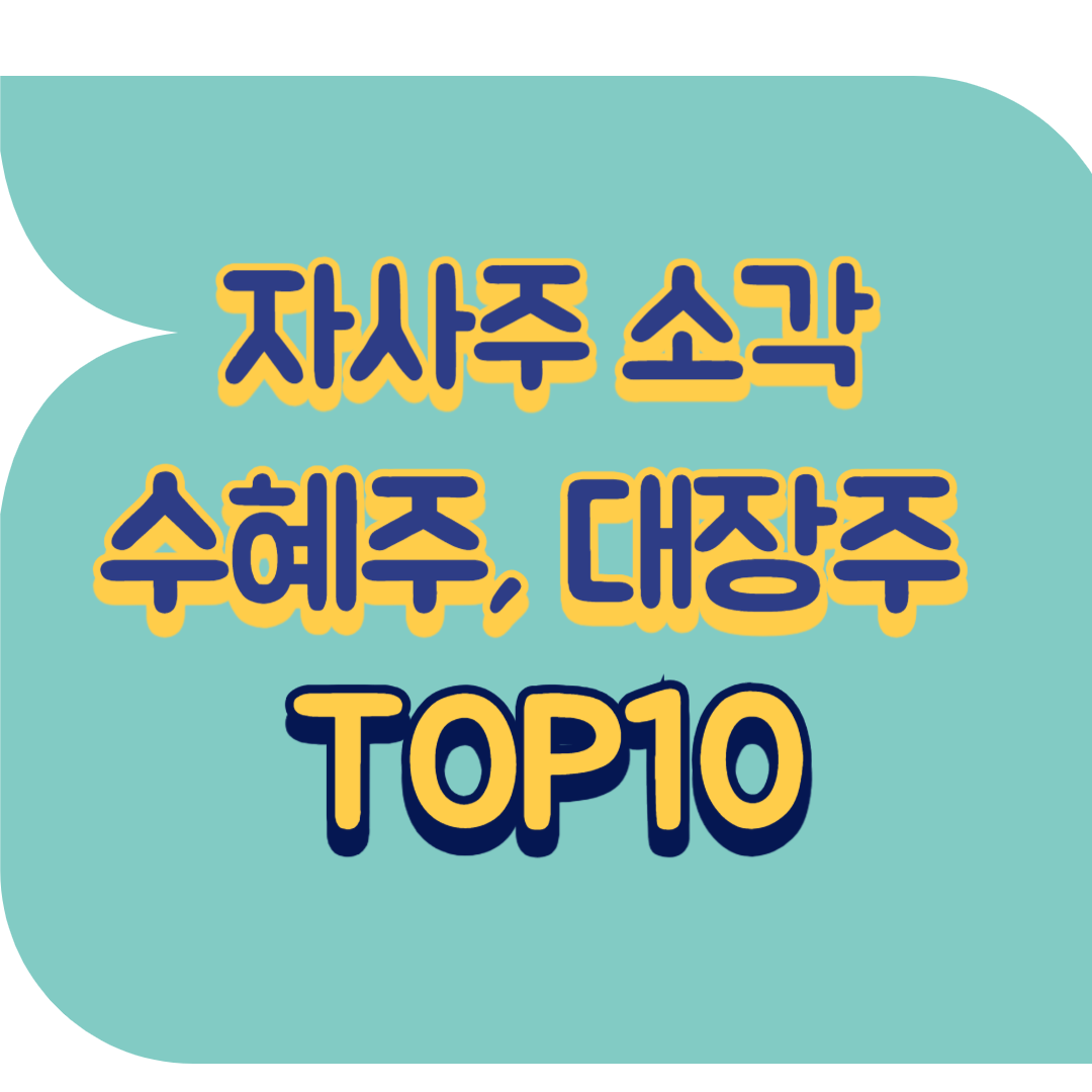 자사주 소각 수혜주.png