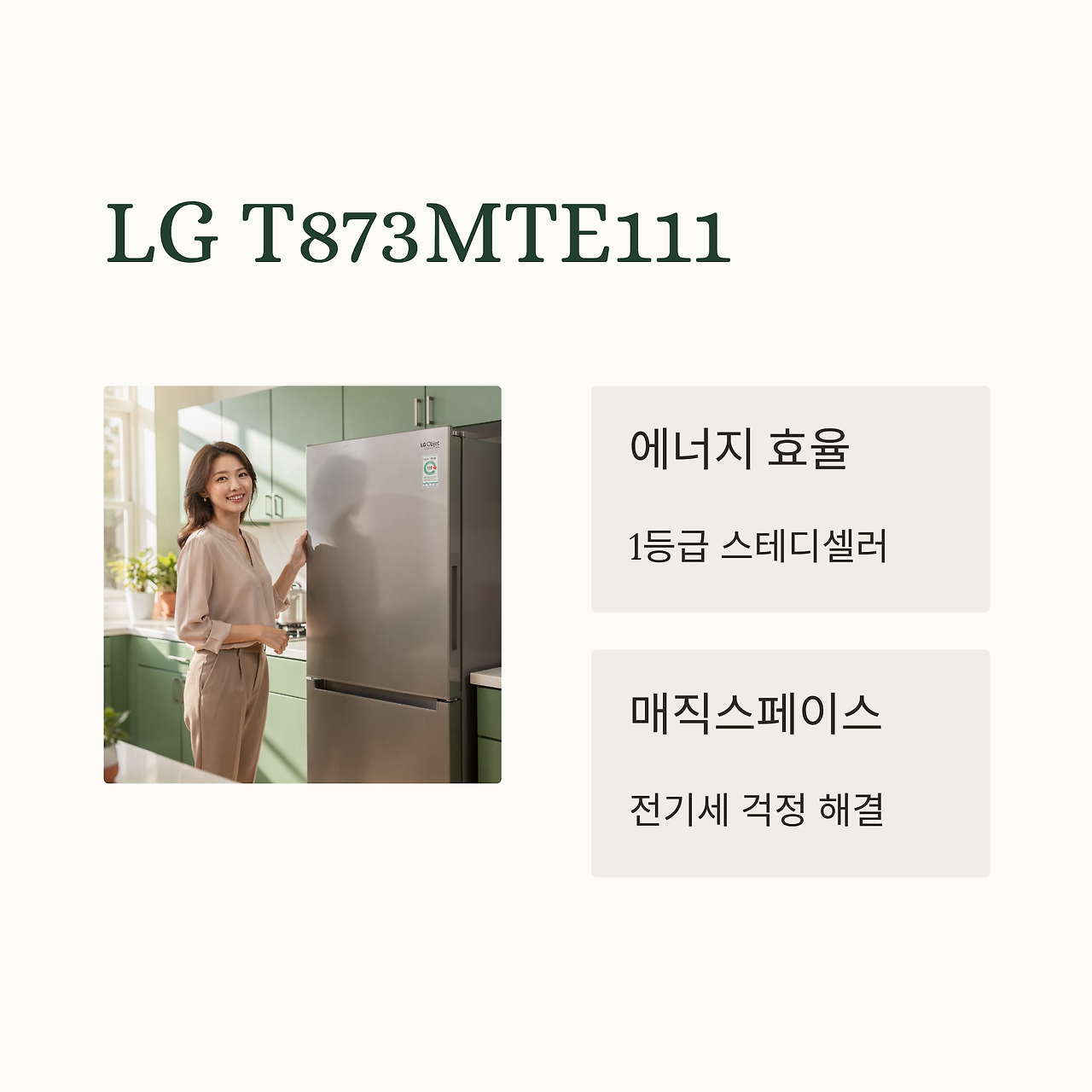 15_LG-T873MTE111.png