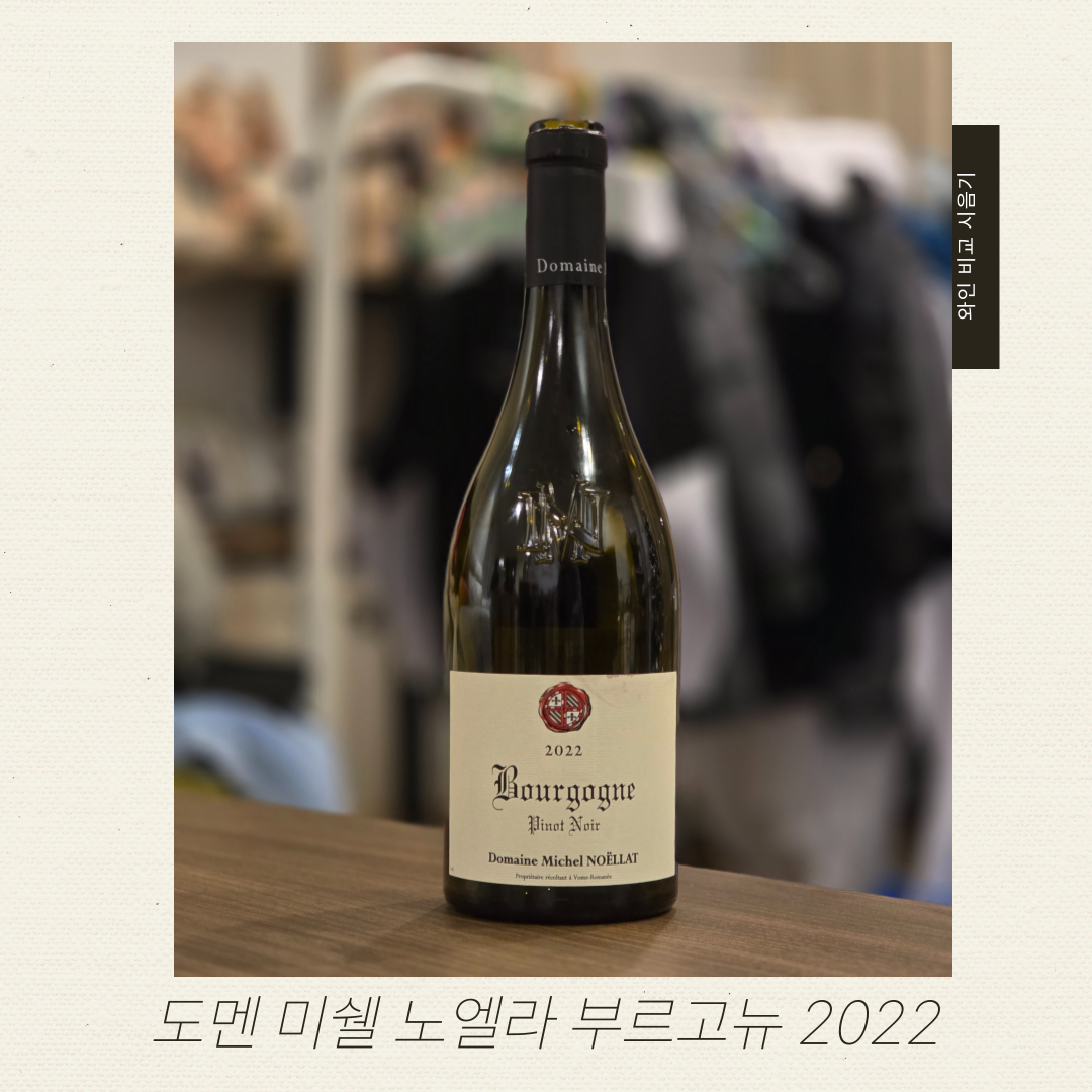 와인브런치_비교시음기_-005 (1).png