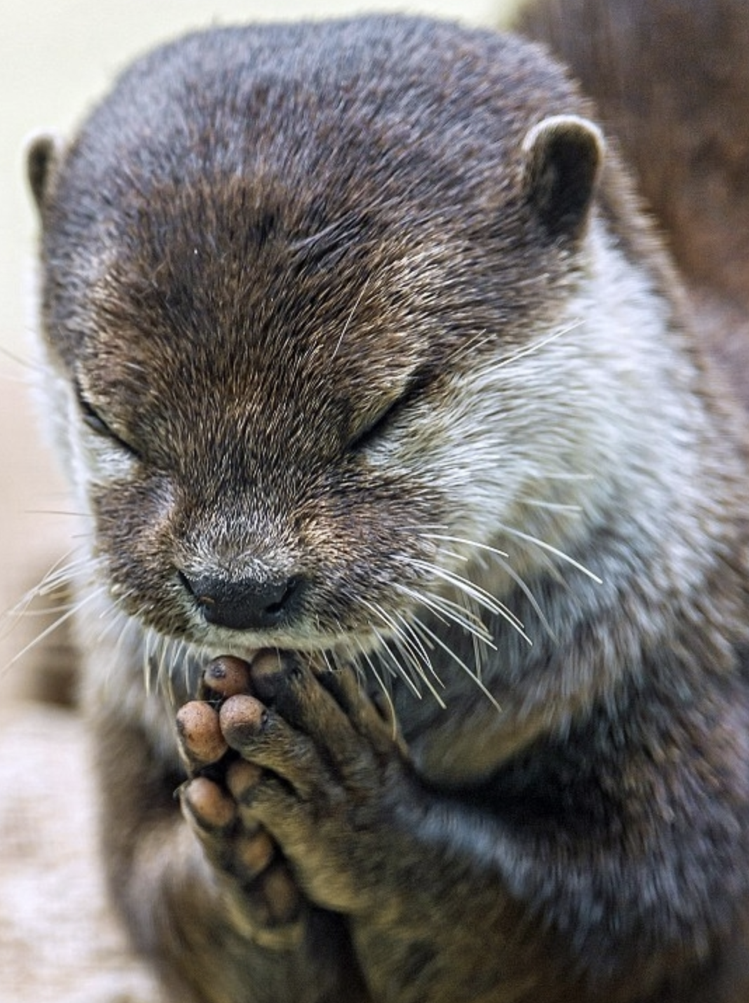 스크린샷 2026-02-22 오전 12.59.00.png