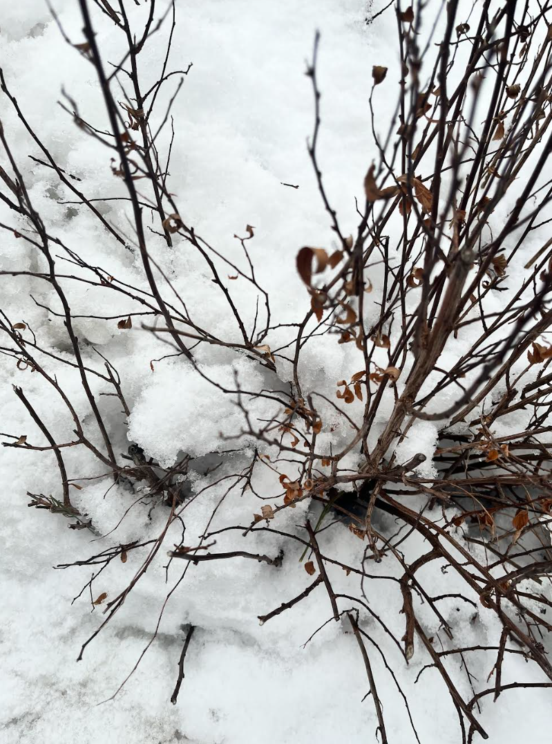 Screenshot 2026-02-23 211352.png