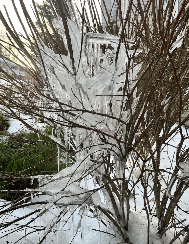 Screenshot 2026-02-23 211445.png