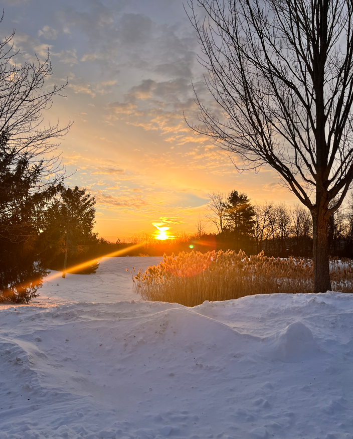 Screenshot 2026-02-10 214944.png