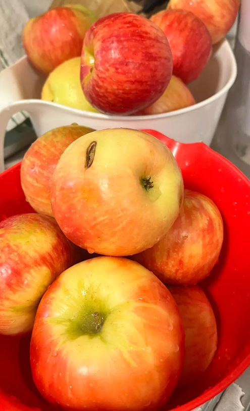 Screenshot 2026-02-16 175048.png