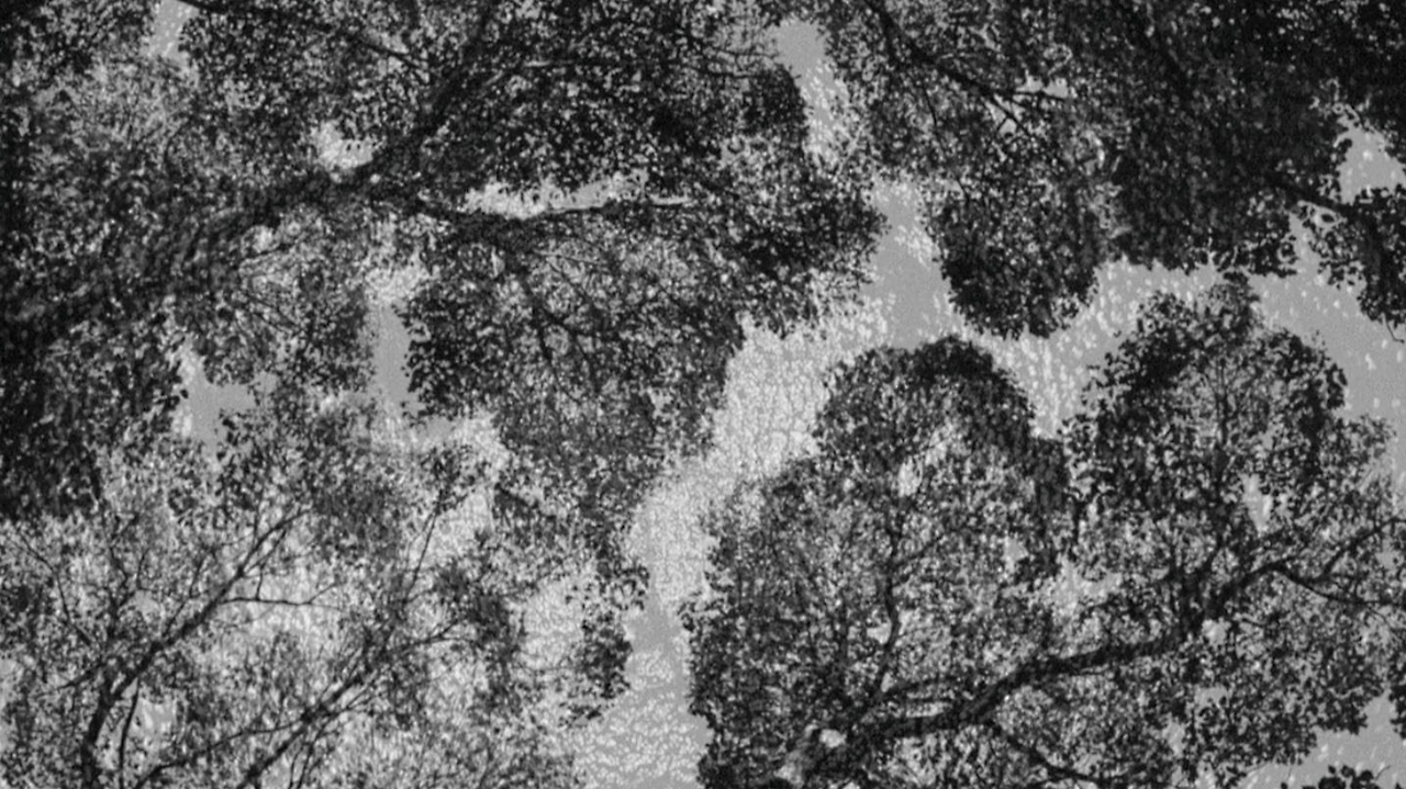 스크린샷 2026-03-15 오후 9.53.08.png