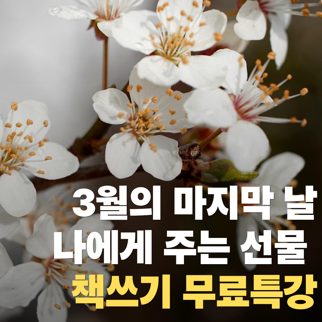 26년3월책쓰기무료특강 썸네일.png