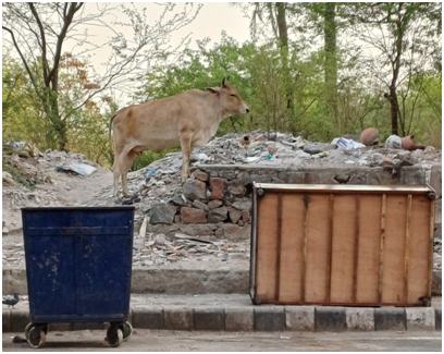 쓰레기 집하장 소 20250807_160928638.png