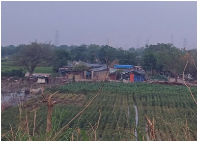 야무나강 둔치 농가.png