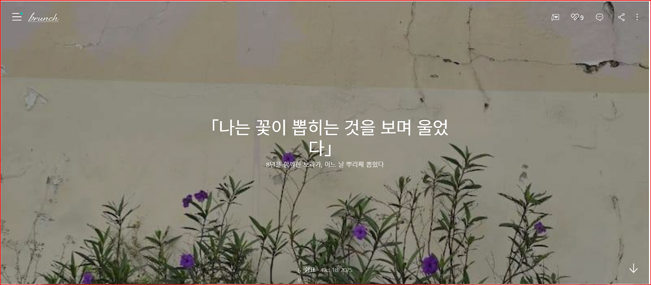 뽑히기전 보라꽃 향연-2026-03-07 074505.png