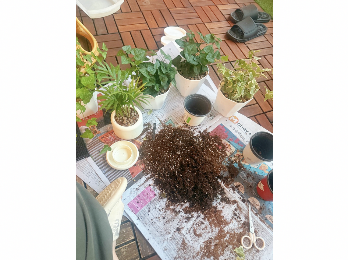 스크린샷 2026-02-12 오전 8.08.41.png