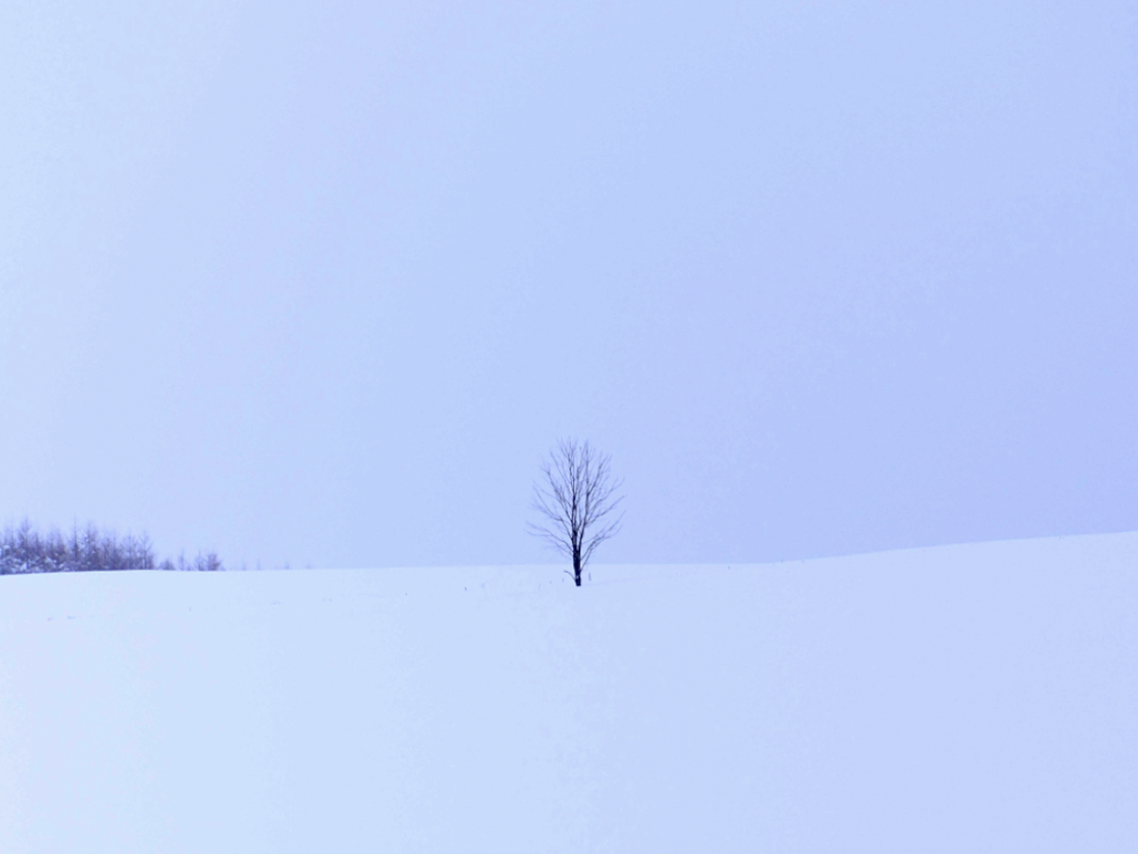 스크린샷 2026-01-27 오전 7.29.49.png