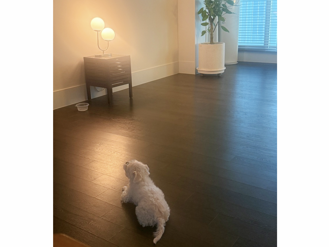 스크린샷 2026-02-19 오전 7.38.14.png