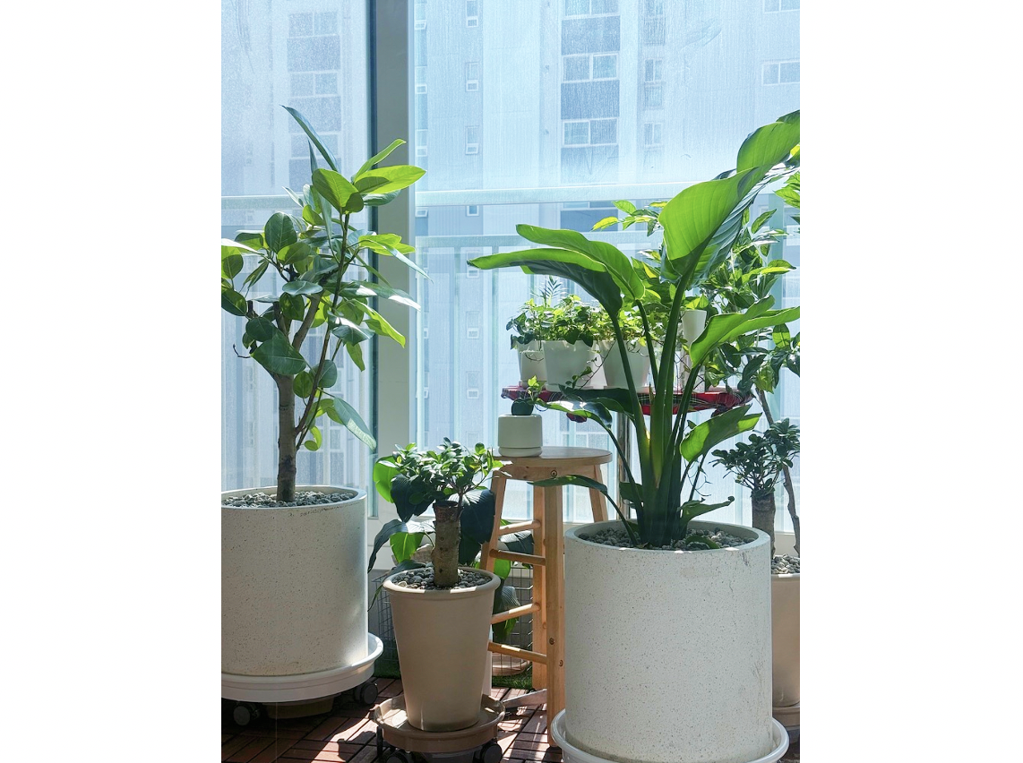 스크린샷 2026-02-23 오전 7.41.35.png