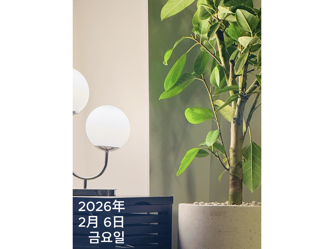 스크린샷 2026-02-06 오전 6.50.44.png