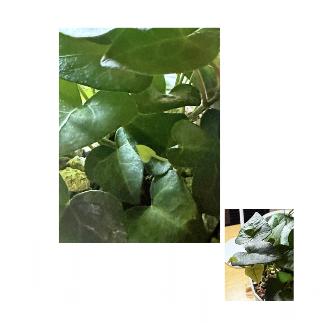 스크린샷 2026-02-24 오전 7.32.44.png