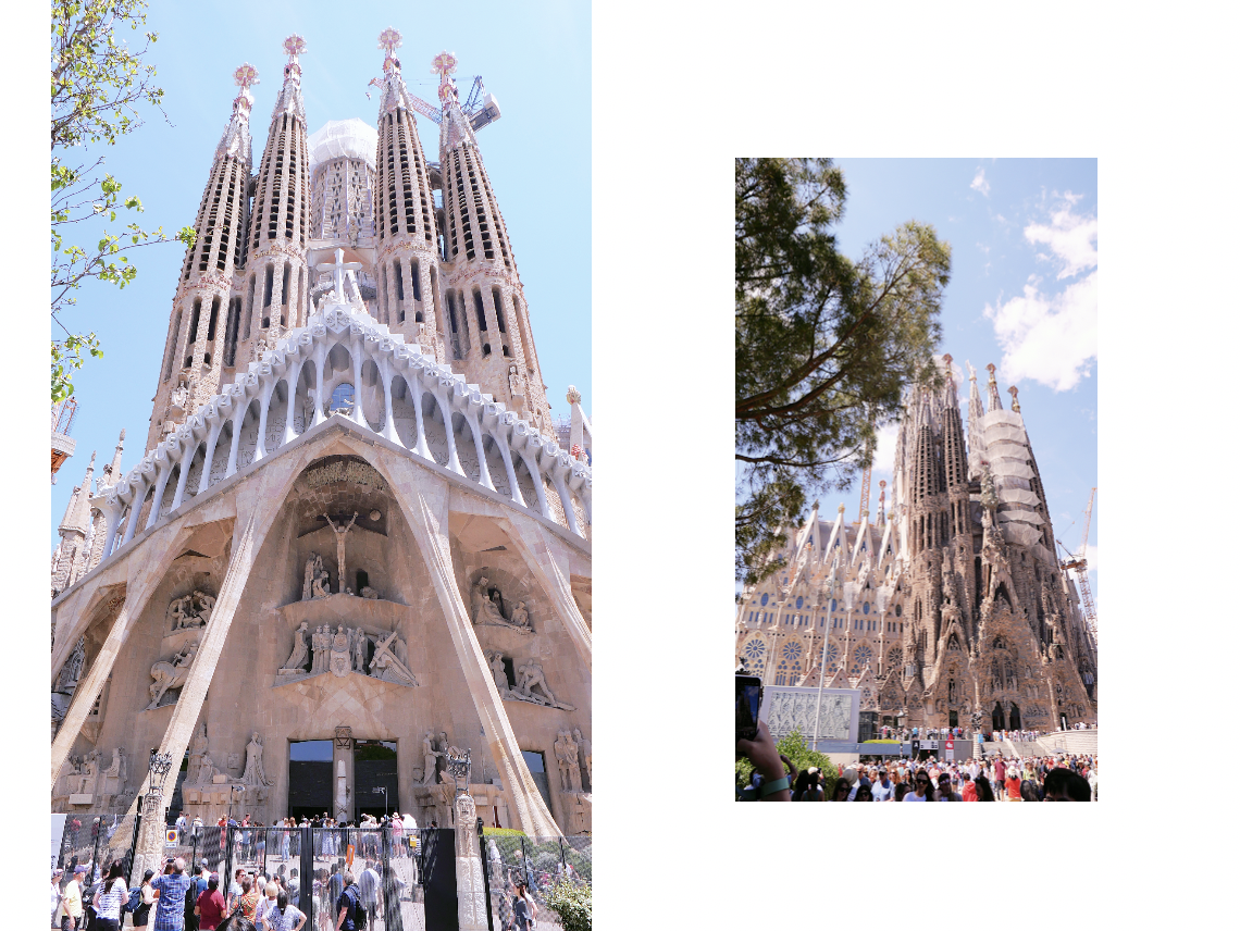 스크린샷 2026-01-23 오전 5.28.09.png