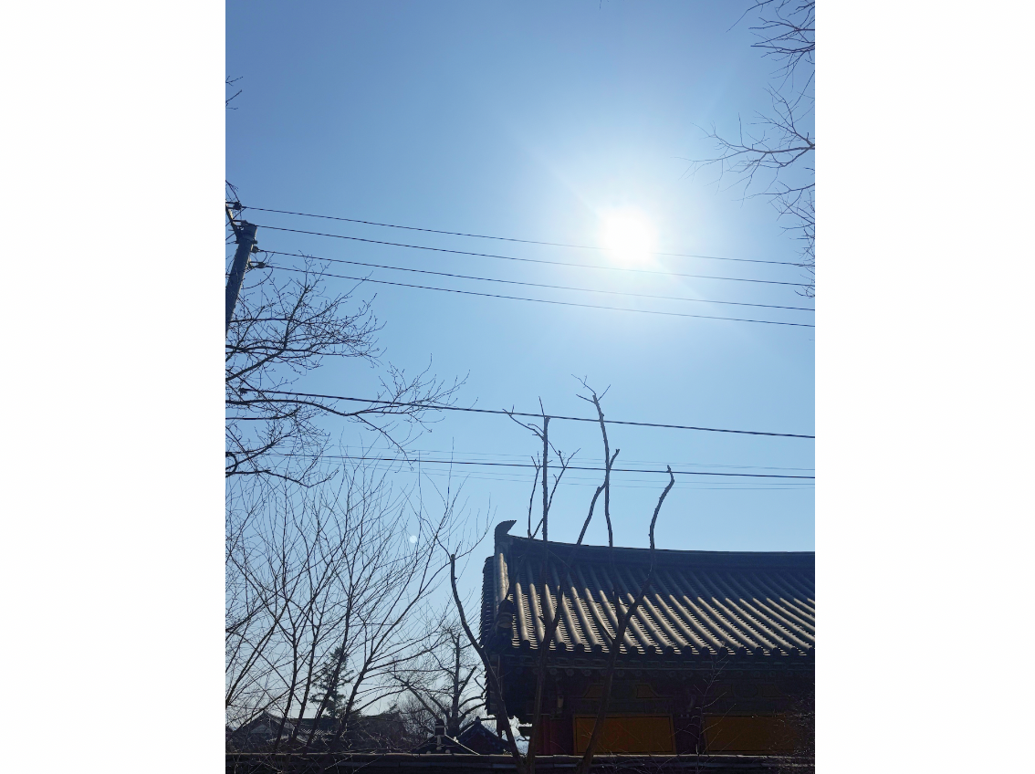 스크린샷 2026-02-13 오전 9.00.36.png