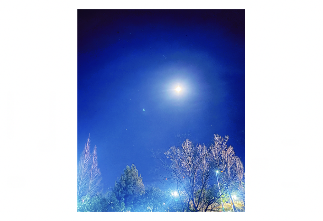 스크린샷 2026-02-25 오전 8.01.56.png