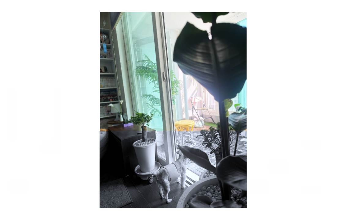 스크린샷 2026-02-25 오전 8.01.41.png