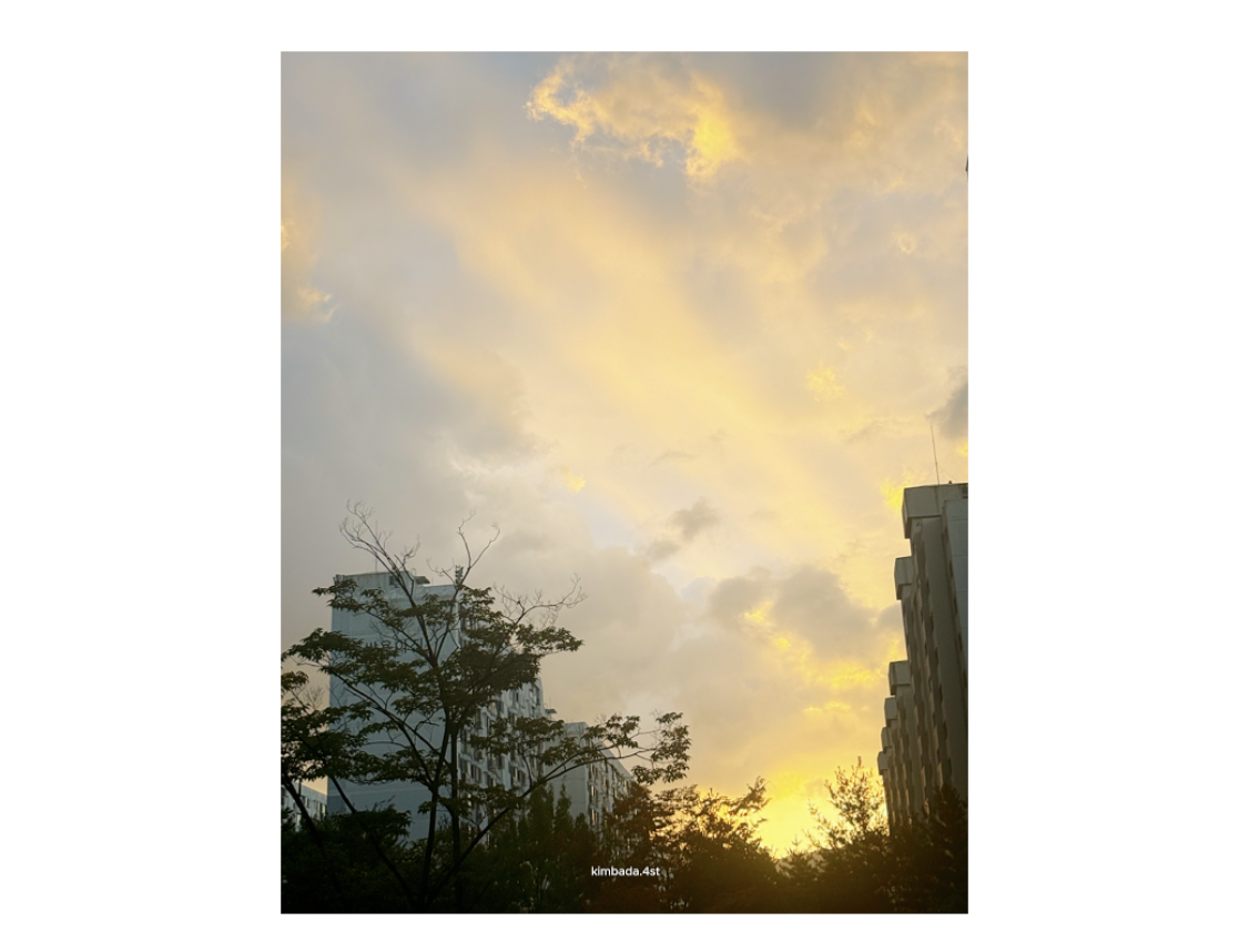 스크린샷 2026-03-06 오후 5.13.16.png