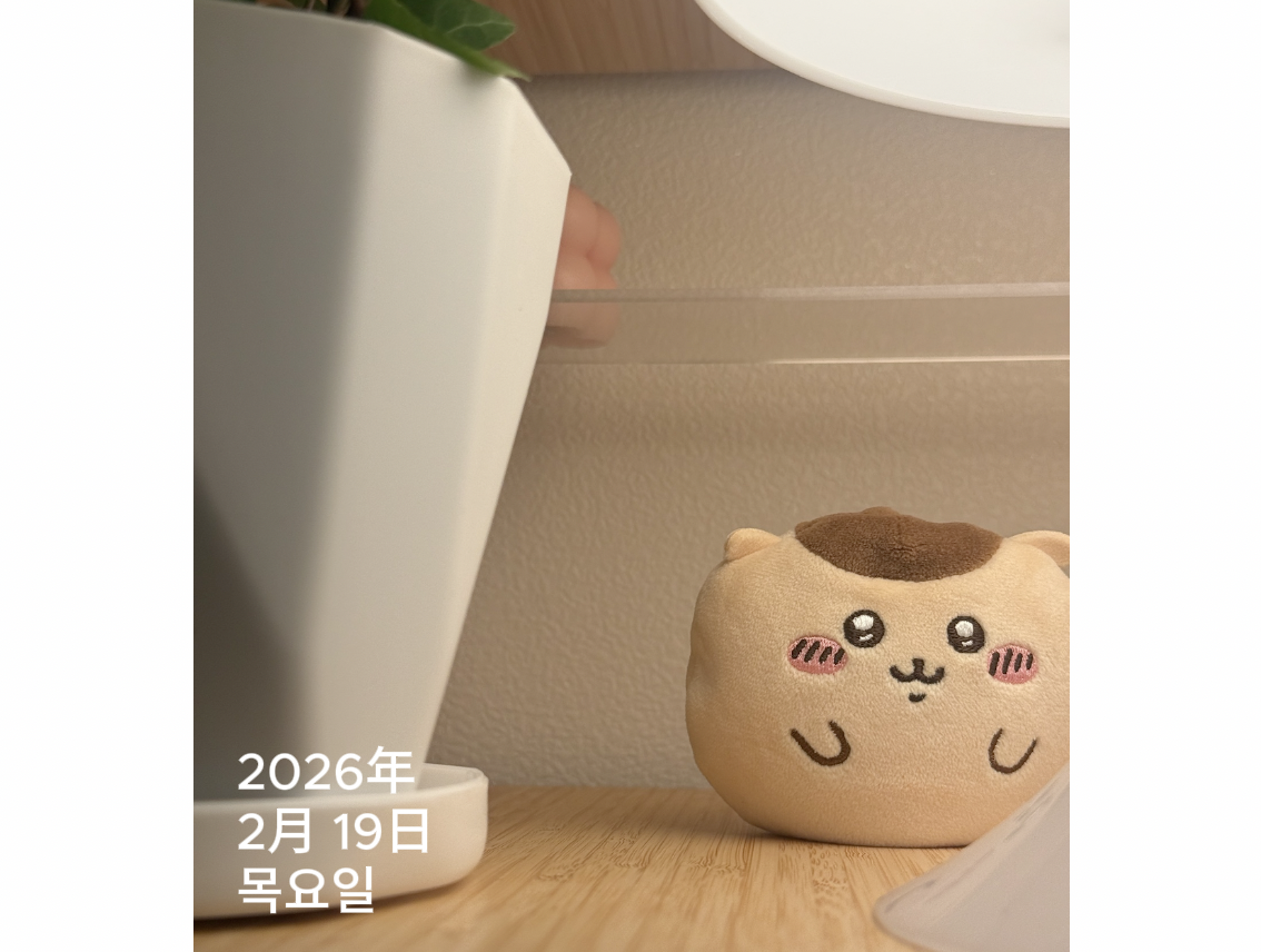 스크린샷 2026-02-19 오전 7.38.25.png