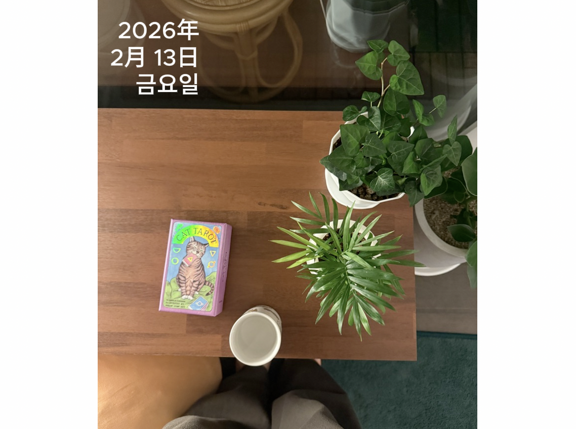 스크린샷 2026-02-13 오전 8.56.24.png