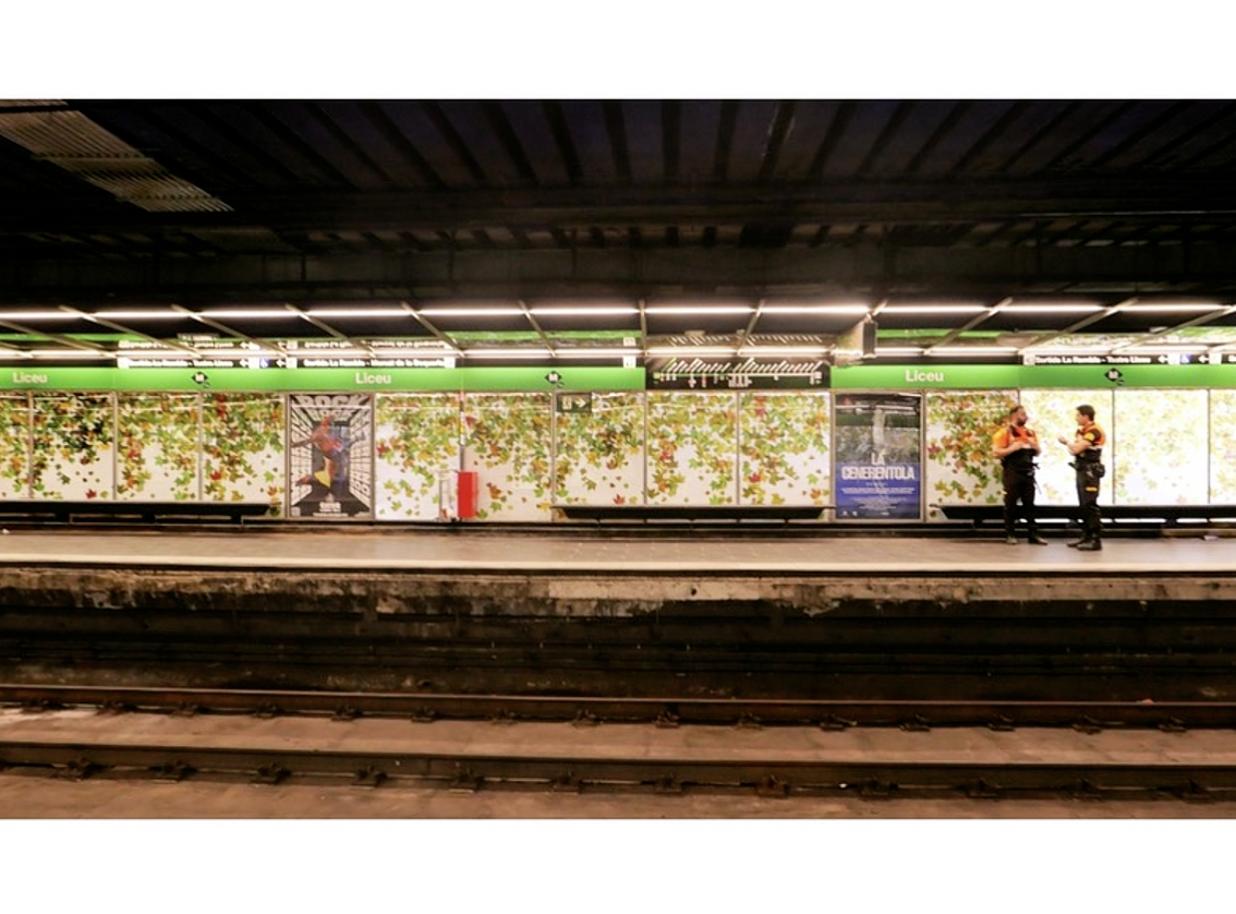 스크린샷 2026-01-23 오전 5.26.45.png