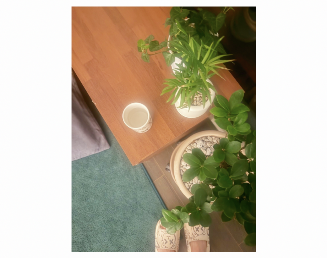 스크린샷 2026-02-26 오전 8.21.23.png