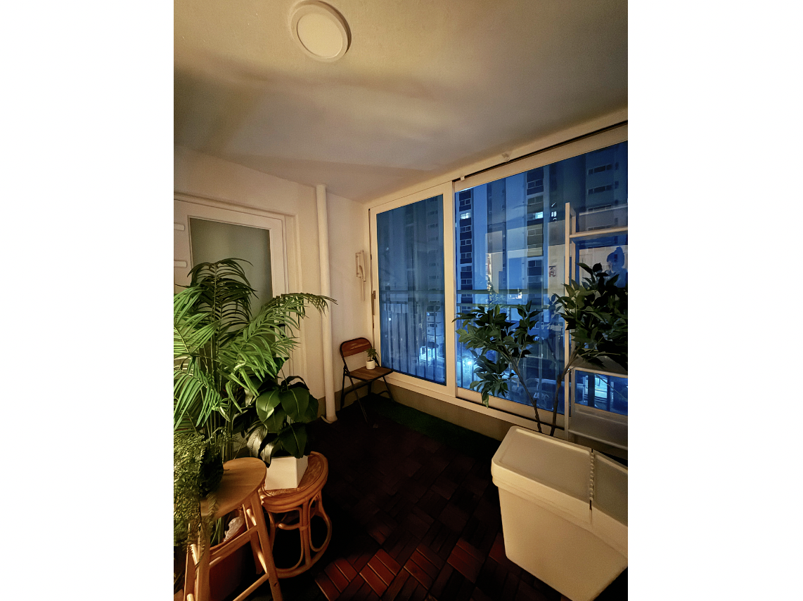 스크린샷 2026-02-05 오전 6.56.51.png