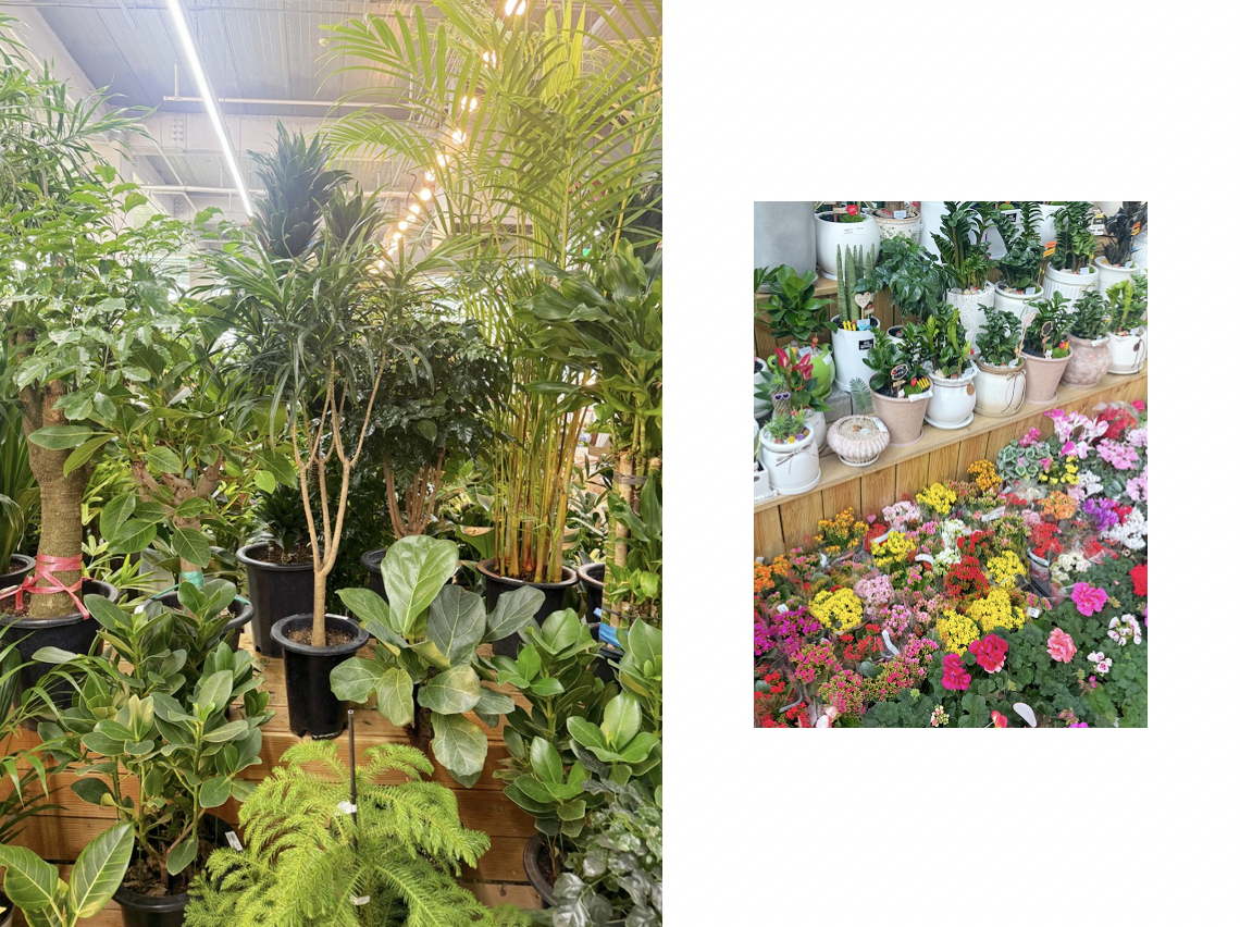 스크린샷 2026-02-06 오전 6.51.03.png