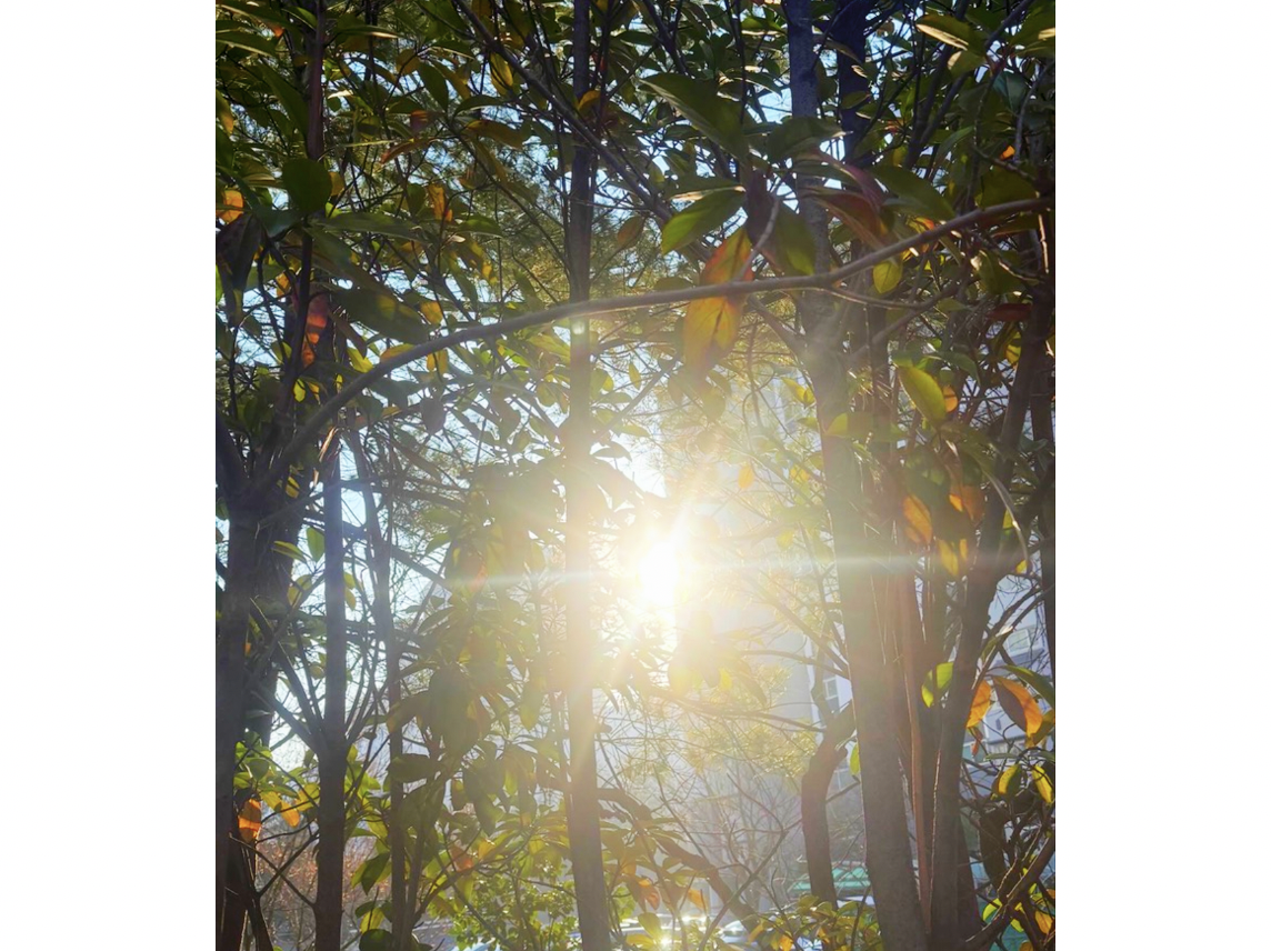 스크린샷 2026-02-23 오전 7.42.08.png